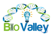 Bio Valley Incubation Council