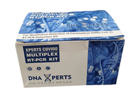 RT PCR KIT